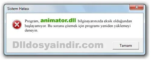 animator.dll hatası