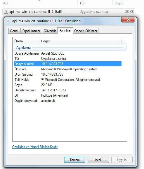 api-ms-win-crt-runtime-l1-1-0-dll-10-0-14393-795-64-bit