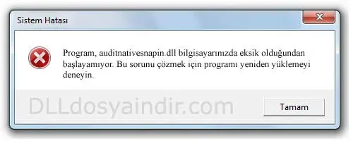 auditnativesnapin.dll hatası
