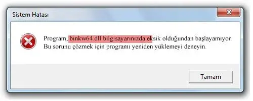 binkw64.dll Hata Görüntüsü
