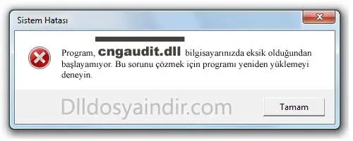 cngaudit.dll Hata Görüntüsü