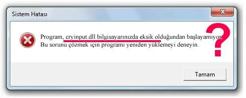 cryinput.dll hatası