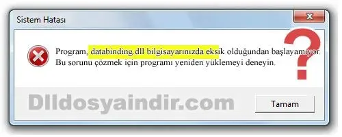 databinding.dll hatası