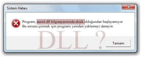 eeswt.dll hatası