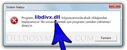 libdivx.dll hatası