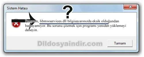 libmwservices.dll Hata Görüntüsü