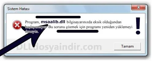 msaalib.dll hatası