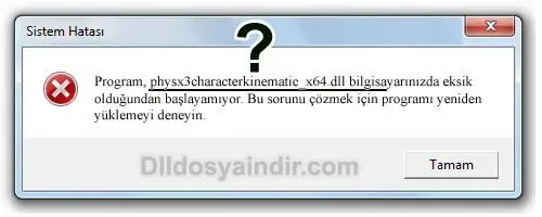 physx3characterkinematic_x64.dll Hata Görüntüsü
