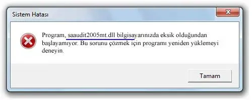 saaudit2005mt.dll hatası
