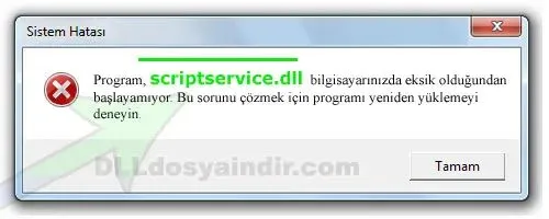 scriptservice.dll hatası
