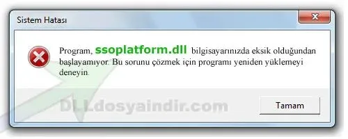 ssoplatform.dll hatası