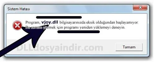 vjoy.dll hatası