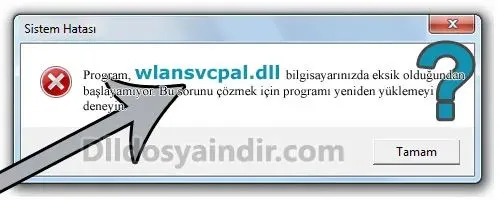 wlansvcpal.dll hatası