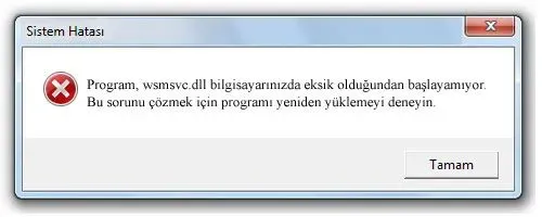 wsmsvc.dll hatası